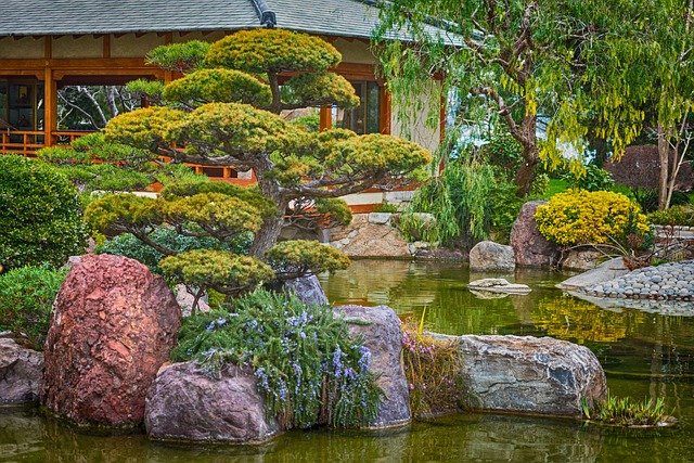 Free download e g japan garden nature pond free picture to be edited with GIMP free online image editor