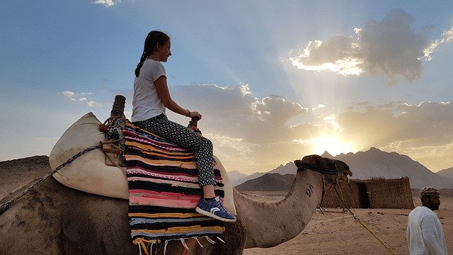 Free download Egypt Camel Girl -  free free photo or picture to be edited with GIMP online image editor