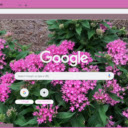 Egyptian Star Cluster  screen for extension Chrome web store in OffiDocs Chromium