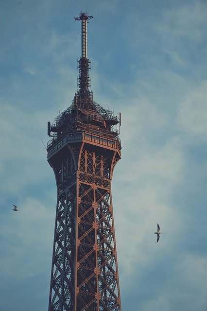 Free download Eiffel Tower Great Birds -  free photo or picture to be edited with GIMP online image editor