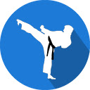 e Karate  screen for extension Chrome web store in OffiDocs Chromium