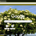 Elderberry Tree  screen for extension Chrome web store in OffiDocs Chromium