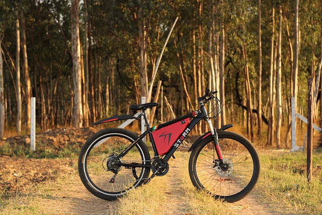 Free download electric bike ebike electric ectlv free picture to be edited with GIMP free online image editor
