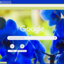 Electric Blue Orchid  screen for extension Chrome web store in OffiDocs Chromium