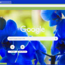 Electric Blue Orchid Close up  screen for extension Chrome web store in OffiDocs Chromium