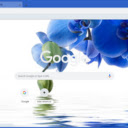 Electric Blue Orchid Macro  screen for extension Chrome web store in OffiDocs Chromium