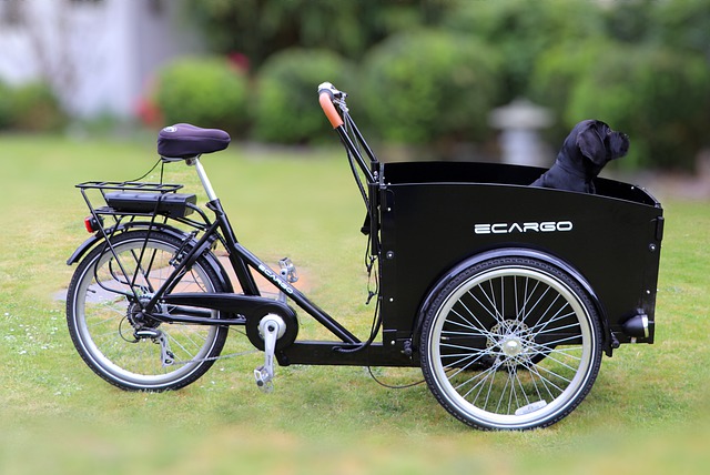 Free download electric cargo bike e bike bike free picture to be edited with GIMP free online image editor