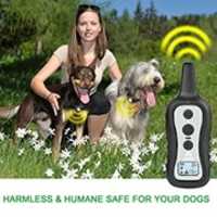 دانلود رایگان ELECTRIC DOG COLLARS - SAFE FOR YOUR DOGGO عکس یا تصویر رایگان برای ویرایش با ویرایشگر تصویر آنلاین GIMP