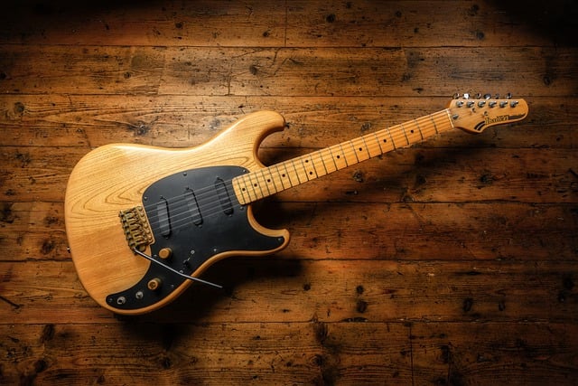 Free download electric guitar musical instrument free picture to be edited with GIMP free online image editor