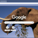 Elephant  screen for extension Chrome web store in OffiDocs Chromium