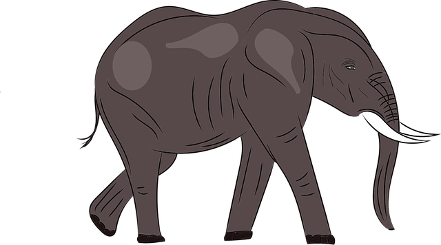 Free download Elephant Animal Wild - Free vector graphic on Pixabay free illustration to be edited with GIMP free online image editor