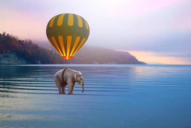 Free download elephant balloon lake free picture to be edited with GIMP free online image editor