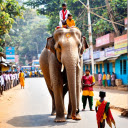 Elephant procession festival  screen for extension Chrome web store in OffiDocs Chromium