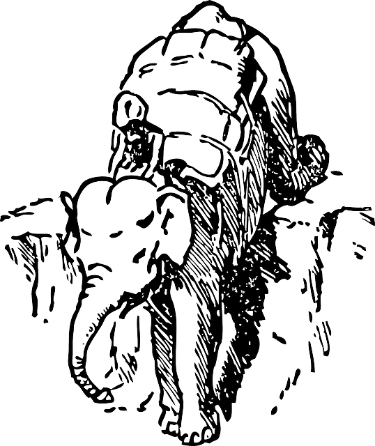 বিনামূল্যে ডাউনলোড করুন এলিফ্যান্ট রাইড ডাউনহিল - Pixabay-এ বিনামূল্যে ভেক্টর গ্রাফিক GIMP বিনামূল্যের অনলাইন ইমেজ এডিটরের মাধ্যমে সম্পাদিত হবে বিনামূল্যের চিত্র