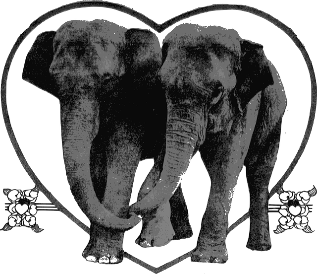 Бесплатно скачать Слоны Животные Сердце - Бесплатная векторная графика на Pixabay бесплатные иллюстрации для редактирования с помощью бесплатного онлайн-редактора изображений GIMP