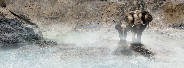 Free download Elephants Fantasy Dust -  free photo or picture to be edited with GIMP online image editor