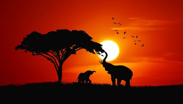 Free download elephants savannah africa tanzania free picture to be edited with GIMP free online image editor
