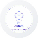 Elifive AI Summarizer  screen for extension Chrome web store in OffiDocs Chromium