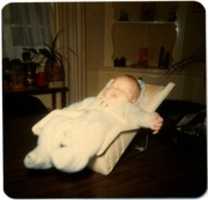 Free download Eli, kitchen table in the dining room, Olin St free photo or picture to be edited with GIMP online image editor