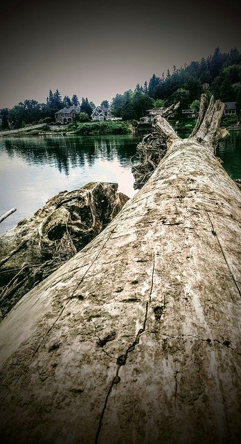 Безкоштовно завантажте Elk Rock Island Get Away Portland — безкоштовну фотографію чи зображення для редагування за допомогою онлайн-редактора зображень GIMP