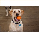Ella, Toby and Ted  screen for extension Chrome web store in OffiDocs Chromium
