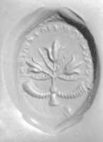 Free download Ellipsoid stamp seal: tulips free photo or picture to be edited with GIMP online image editor