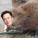 Elongated Muskrat Replacer  screen for extension Chrome web store in OffiDocs Chromium