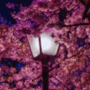 Elonis Email Organizer  screen for extension Chrome web store in OffiDocs Chromium