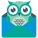 emailwise.0.1.0  screen for extension Chrome web store in OffiDocs Chromium