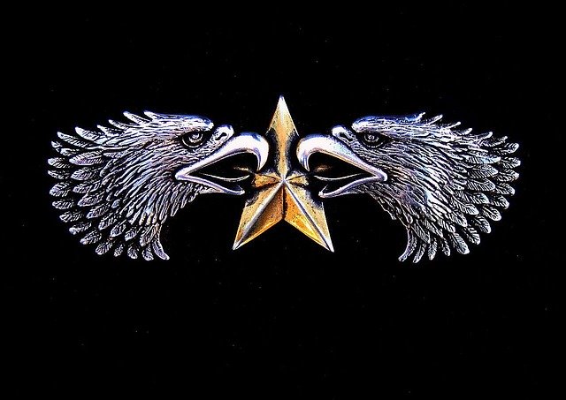 Tải xuống miễn phí Emblem Symbol Eagle - minh họa miễn phí được chỉnh sửa bằng trình chỉnh sửa hình ảnh trực tuyến miễn phí GIMP