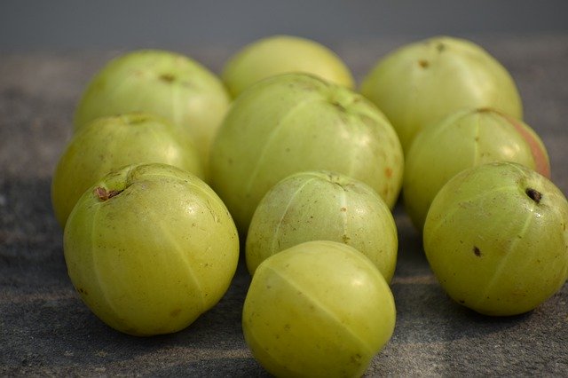 Free download Emblic Amla Fruit -  free photo or picture to be edited with GIMP online image editor
