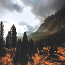 Embracing the Tranquility of Nature  screen for extension Chrome web store in OffiDocs Chromium