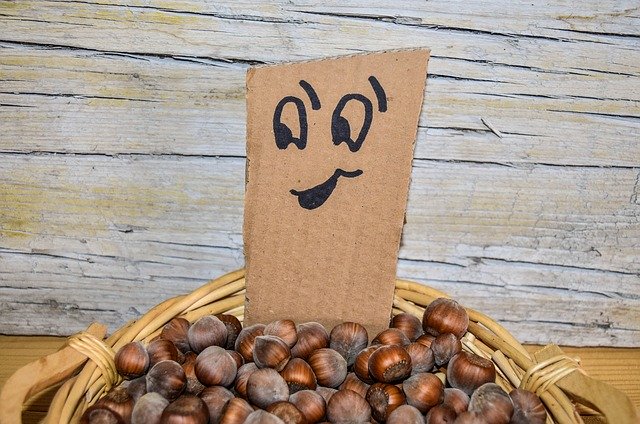 Free download Emoji Smiley Face Hazelnuts -  free photo or picture to be edited with GIMP online image editor
