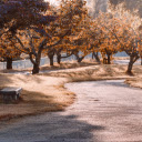 Empty road  screen for extension Chrome web store in OffiDocs Chromium