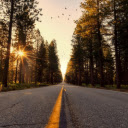 endless road leading into the forest at sunset  screen for extension Chrome web store in OffiDocs Chromium