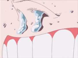 Free download enel eeeeh free photo or picture to be edited with GIMP online image editor