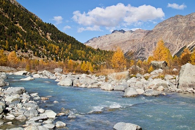 Download grátis Engadin Autumn Larch Discoloration - foto ou imagem gratuita a ser editada com o editor de imagens online GIMP