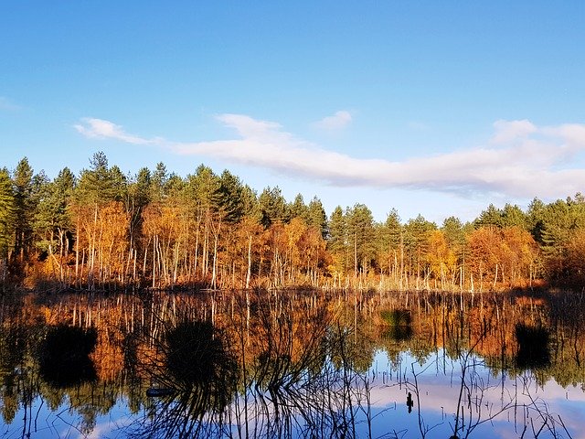 Free download England Autumn Lake -  free photo or picture to be edited with GIMP online image editor