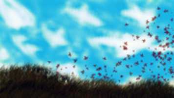 Free download En Las Sombras free photo or picture to be edited with GIMP online image editor