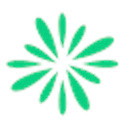 Enrichmatic LI Cookies  screen for extension Chrome web store in OffiDocs Chromium