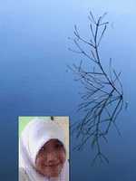 Free download entahlah+ free photo or picture to be edited with GIMP online image editor