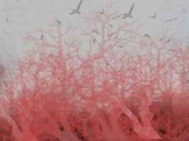 Free download en viaje free photo or picture to be edited with GIMP online image editor