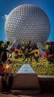 Free download epcot-flowers-globe-dome free photo or picture to be edited with GIMP online image editor