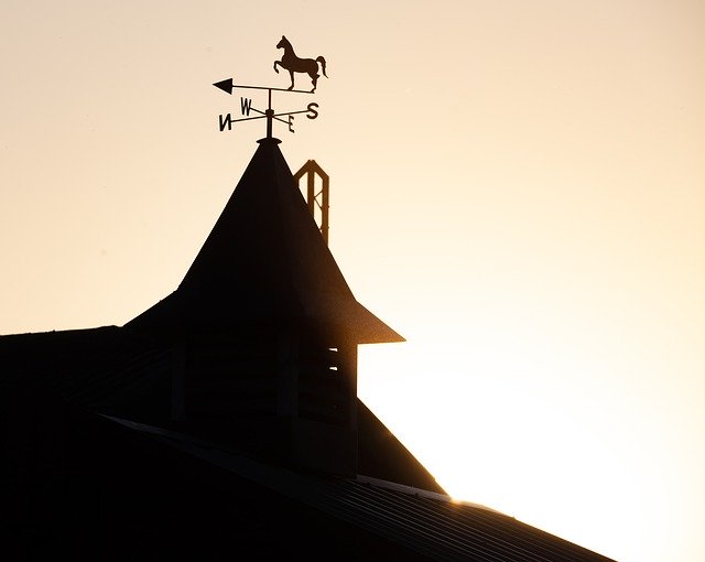 Bezpłatne pobieranie Equestrian Horse Ranch - darmowe zdjęcie lub obraz do edycji za pomocą internetowego edytora obrazów GIMP