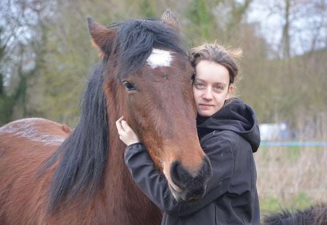 Free download equine horse hug woman free picture to be edited with GIMP free online image editor