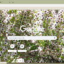 Erica  screen for extension Chrome web store in OffiDocs Chromium