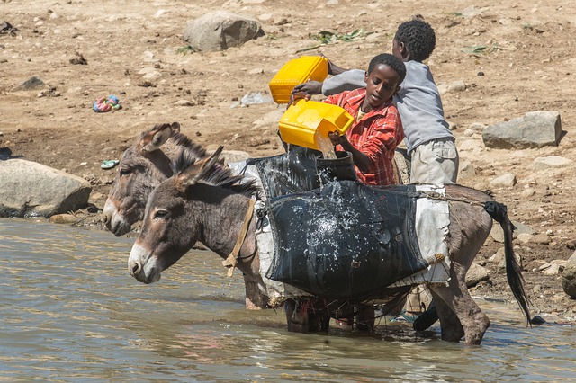 Eritre afrika'yı ücretsiz indir, çölde seyahat ediyor musun? GIMP ücretsiz çevrimiçi resim düzenleyici ile düzenlenecek ücretsiz resim