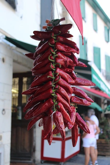 Free download espelette chilli pepper cluster free picture to be edited with GIMP free online image editor