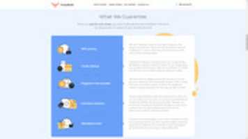 Free download essay-bulls-02 free photo or picture to be edited with GIMP online image editor