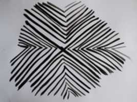 Free download Estampa (10) free photo or picture to be edited with GIMP online image editor